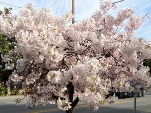 20120401160645_original
